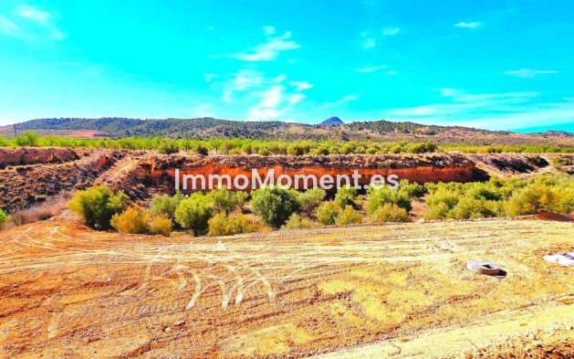 Revente - Villa individuelle - Abanilla - Macisvenda