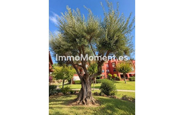 Wiederverkauf - Wohnung - Mijas - La Cala Hills