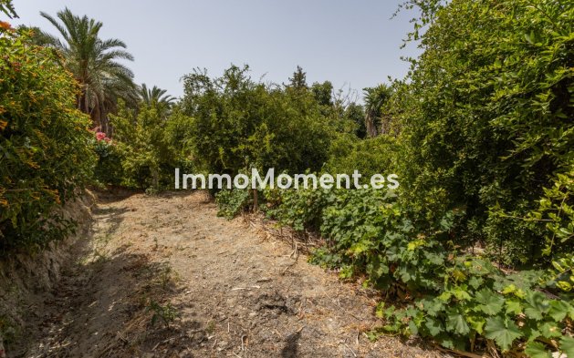 Wiederverkauf - Freistehende Villa - Marbella - San Pedro de Alcántara