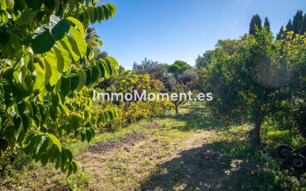Bestaande woning - Vrijstaande villa - Mijas - Mijas Centro