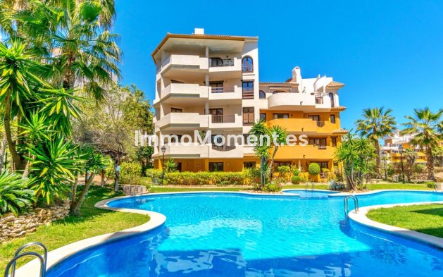 Resale - Apartment - Orihuela Costa - Punta Prima