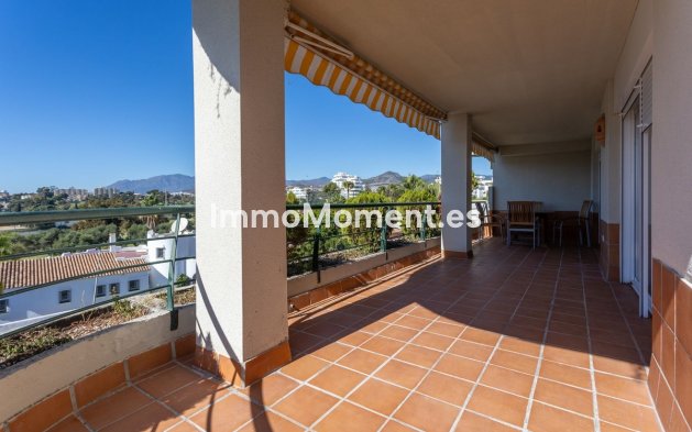 Resale - Apartment - Marbella - Guadalmina Alta