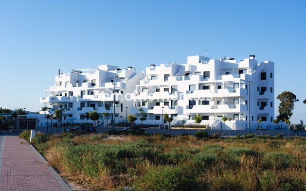 Neubau - Wohnung - Santa Rosalía