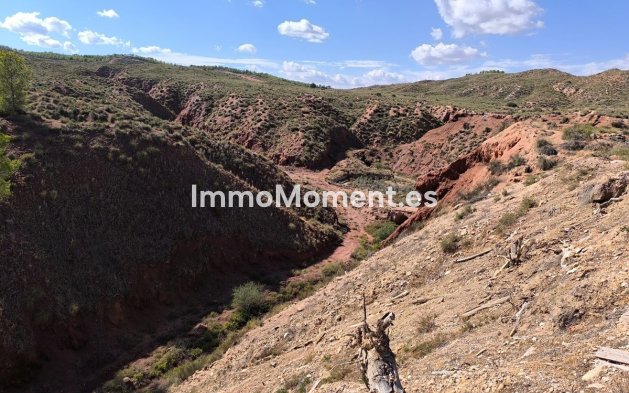 Resale - Country house - Jumilla - Jumilla Centro