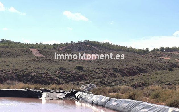 Resale - Country house - Jumilla - Jumilla Centro