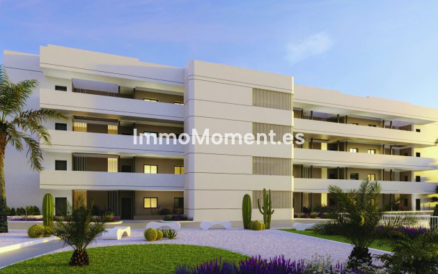 Construction neuve - Penthouse - Torrevieja