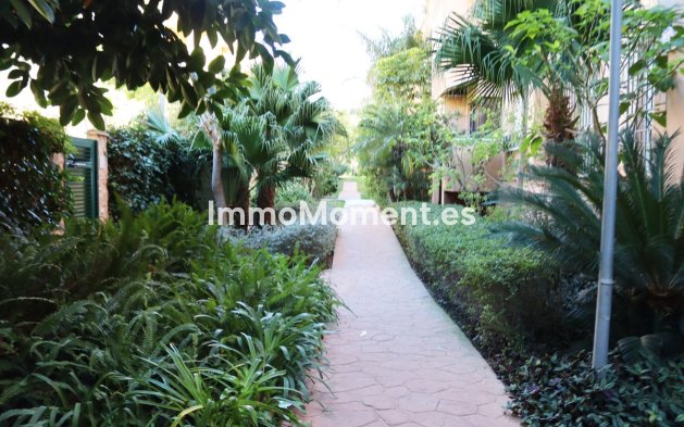 Kurzzeitvermietung - Wohnung - Marbella - Carib Playa