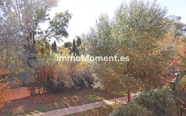 Kurzzeitvermietung - Wohnung - Marbella - Carib Playa