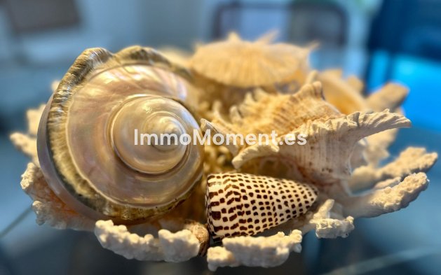 Long Term Rentals - Apartment - Marbella - Puerto Banús