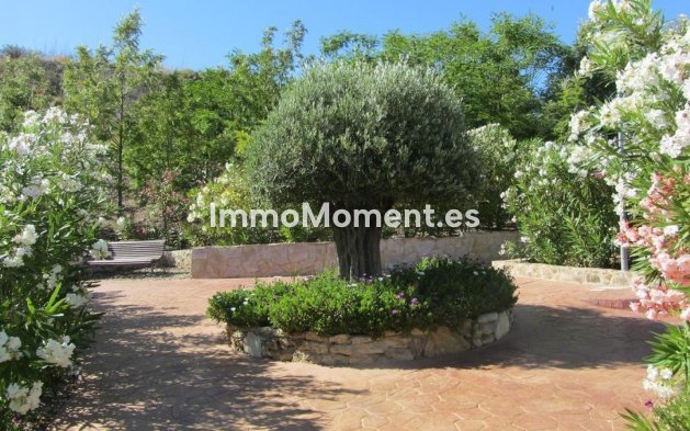 Kurzzeitvermietung - Wohnung - Mijas - Mijas Costa