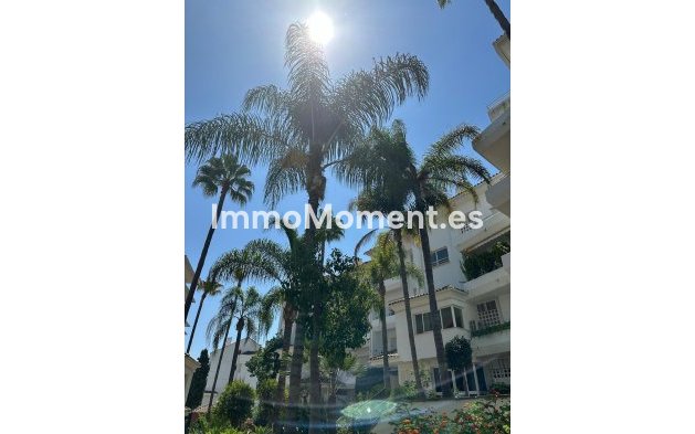 Long Term Rentals - Apartment - Marbella - Guadalmina Baja