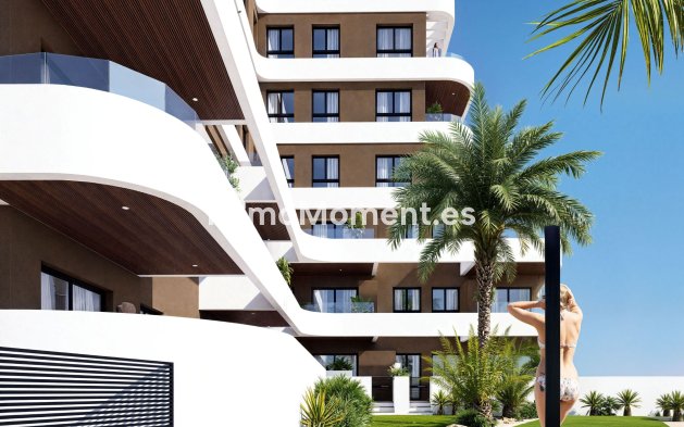 Obra nueva - Apartamento - Guardamar del Segura