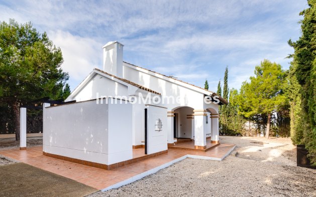 Construction neuve - Villa individuelle - Fuente Alamo
