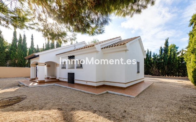 Construction neuve - Villa individuelle - Fuente Alamo
