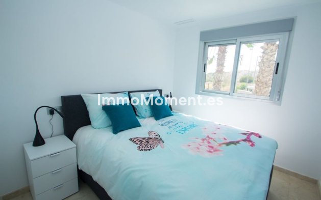 Obra nueva - Ground-floor - Orihuela