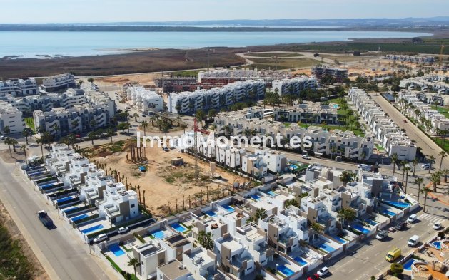Construction neuve - Terraced - Guardamar del Segura
