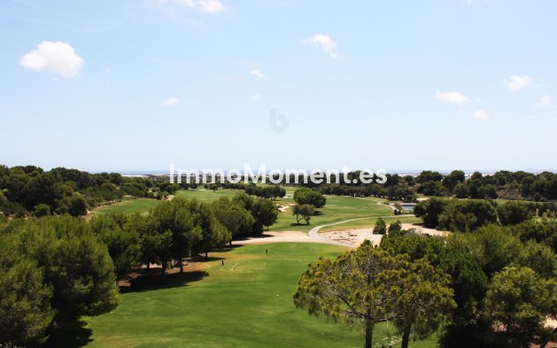 Obra nueva - Ground-floor - Pinar de Campoverde