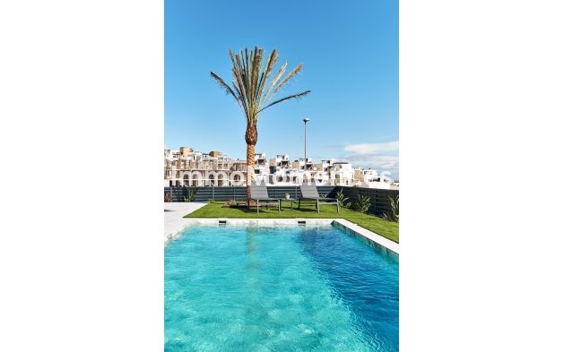 Obra nueva - Villa - San Miguel de Salinas