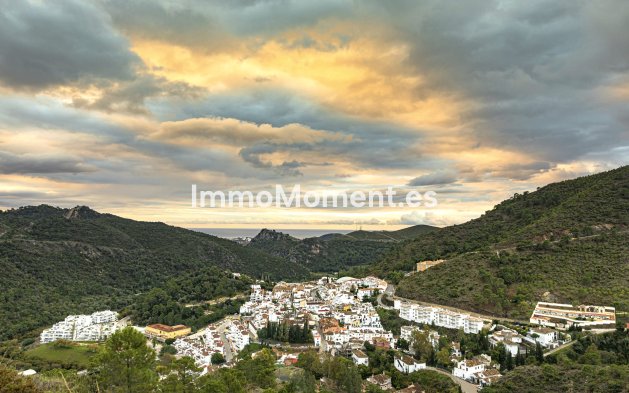 Obra nueva - Ground-floor - Benahavís