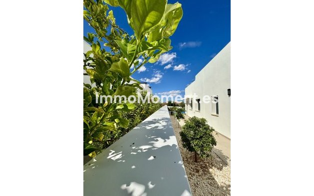 New Build - Detached villa - Benijofar