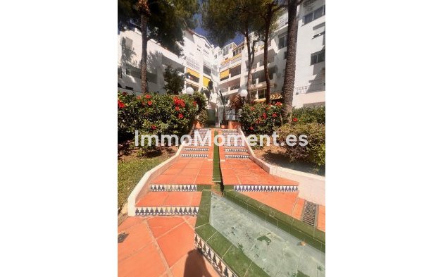 Langzeitvermietung - Wohnung - Estepona  - Estepona