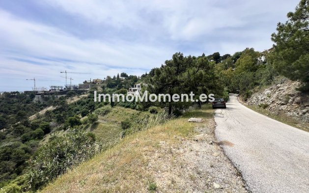 Revente - Terrain - Benahavís - El Madroñal