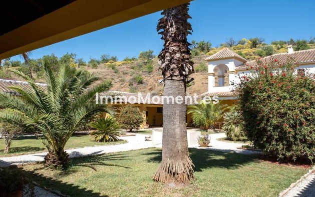 Revente - Maison de campagne - Intérieur                       - Almogía