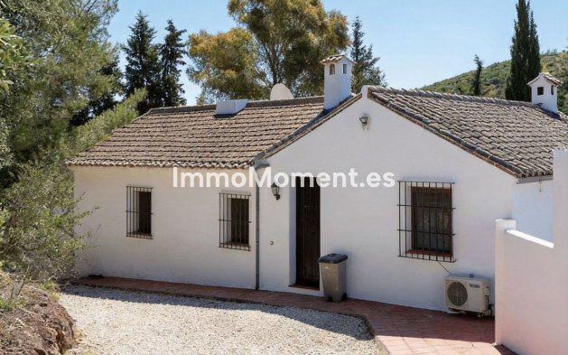 Revente - Maison de campagne - Intérieur                       - Almogía