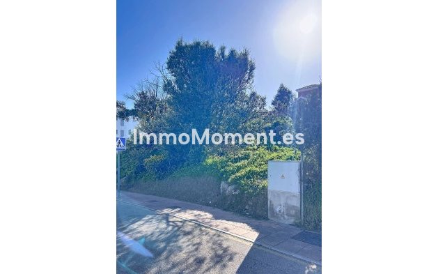 Wiederverkauf - Land - Estepona  - Valle Romano