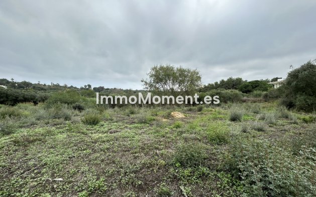 Revente - Terrain - Sotogrande - Sotogrande Alto