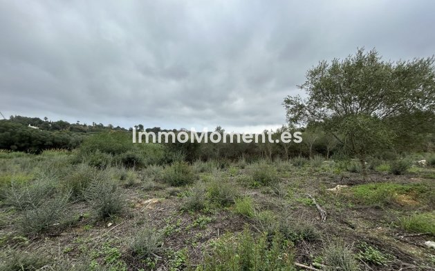 Revente - Terrain - Sotogrande - Sotogrande Alto