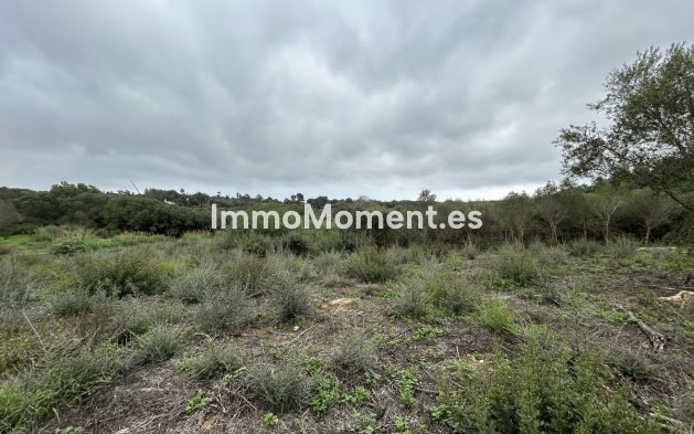 Revente - Terrain - Sotogrande - Sotogrande Alto