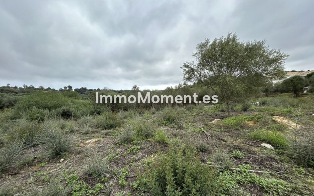 Revente - Terrain - Sotogrande - Sotogrande Alto