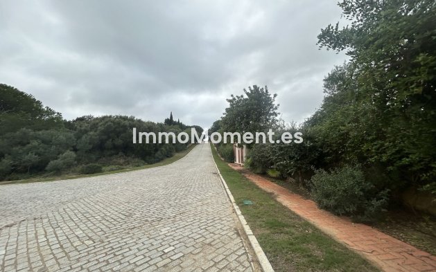 Revente - Terrain - Sotogrande - Sotogrande Alto