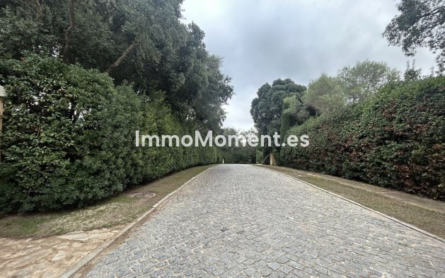 Revente - Terrain - Sotogrande - Sotogrande Alto