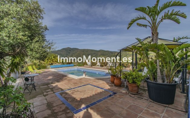 Revente - Villa - Intérieur                       - Monda