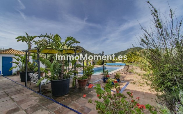 Revente - Villa - Intérieur                       - Monda