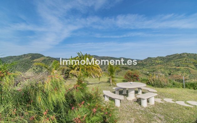 Revente - Villa - Intérieur                       - Monda