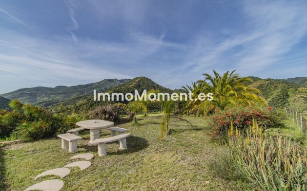 Revente - Villa - Intérieur                       - Monda