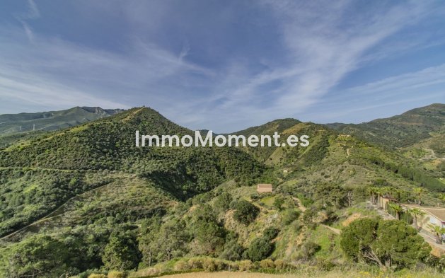 Revente - Villa - Intérieur                       - Monda