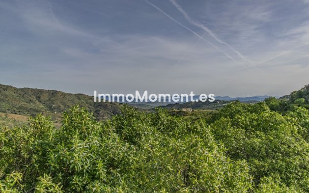 Revente - Villa - Intérieur                       - Monda