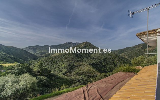 Revente - Villa - Intérieur                       - Monda