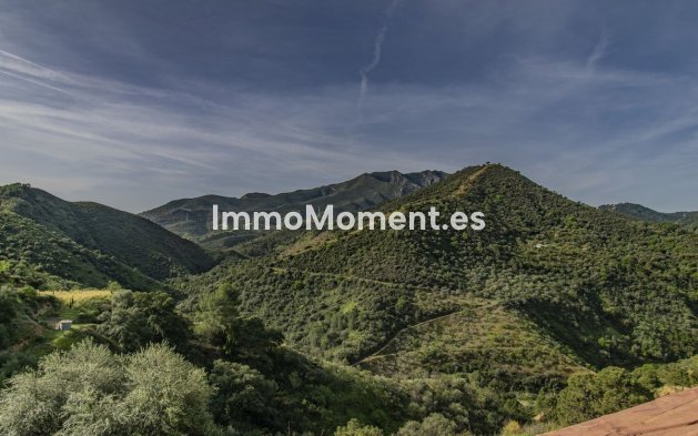 Revente - Villa - Intérieur                       - Monda