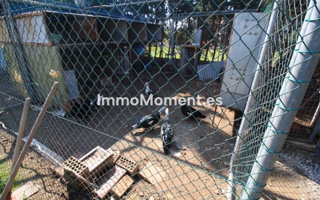 Wiederverkauf - Villa - Orihuela - Orihuela Costa