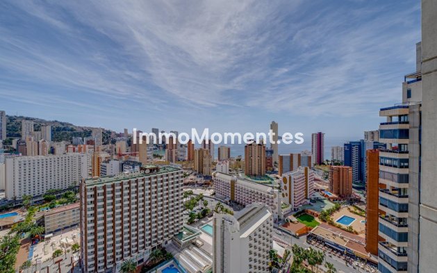 Revente - Appartement - Benidorm - Benidorm Centro