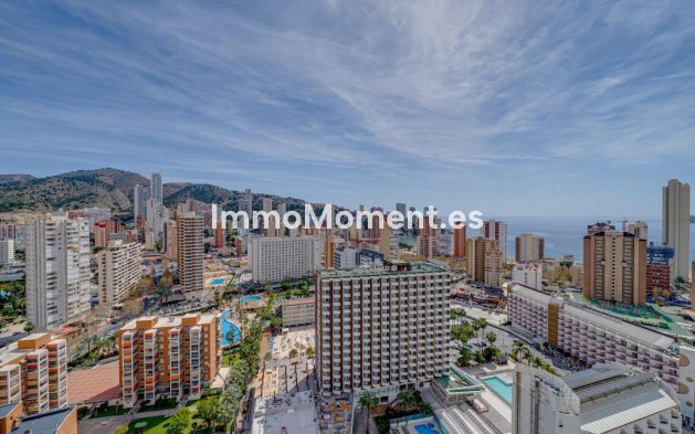Revente - Appartement - Benidorm - Benidorm Centro