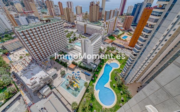Revente - Appartement - Benidorm - Benidorm Centro