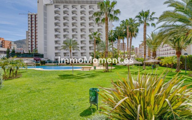 Revente - Appartement - Benidorm - Benidorm Centro