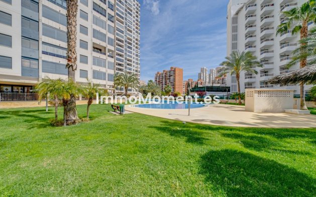 Revente - Appartement - Benidorm - Benidorm Centro