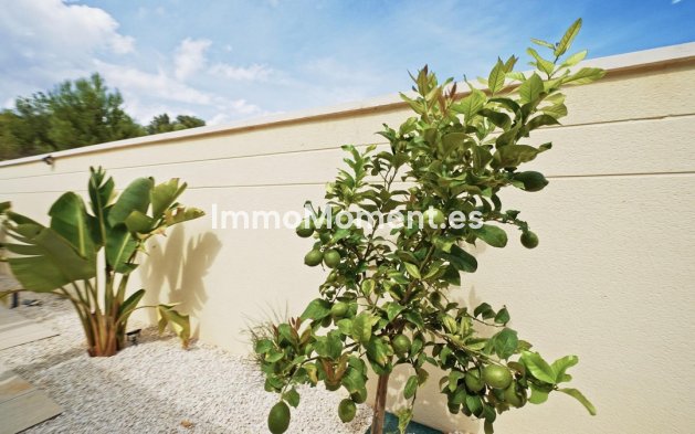 Bestaande woning - Villa - Polop - Polop Centro